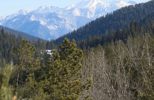 Panorama Condo | Spacious, Bright Upper Village Condo W/ A Great View.