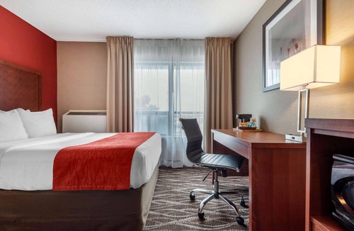 Oshawa Hotel | Spark by Hilton Oshawa