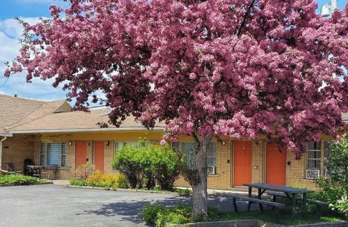 Ste Anne de Beaupre Apartment | Studio 8 | 2 Min Waterfront | BBQ & Fireplace