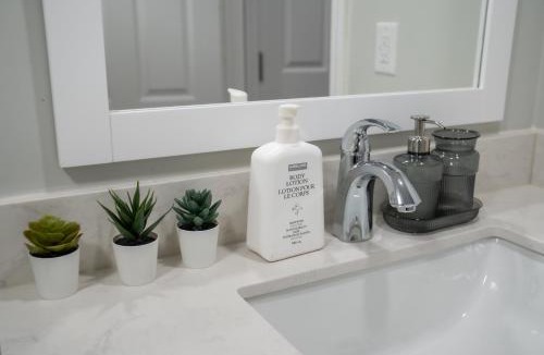 Mount Pleasant Apartment | Studio Apartment B - Full Kitchen - Cozy and Modern