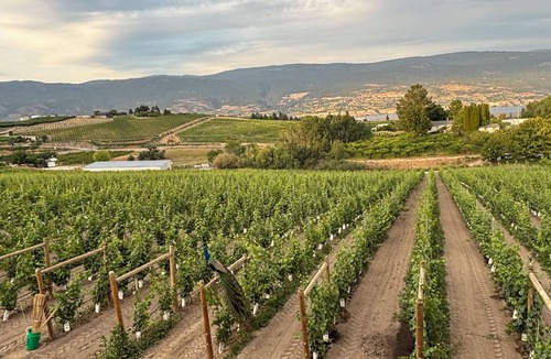 Okanagan-Similkameen House | Summerland Vineyard Airstream – Wine Country Stay - Biking, Wine Tasting, Beachs
