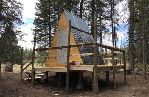 Caroline Cabin | Tay River Treehouse nestled on Tay River
