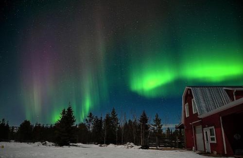 Whitehorse Apartment | The Big Red Barn