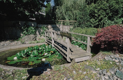 Delta House | The Coastal Garden Retreat