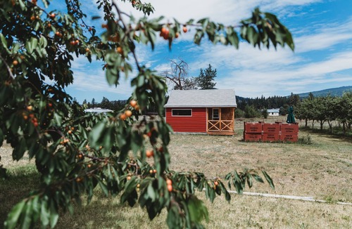 Vernon Apartment | The Mac Shack in the BX, Vernon BC
