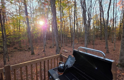 Irondale Cabin | The Stellar Haven