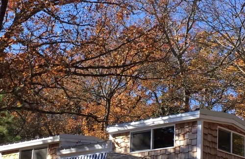 Log Cabin House | TINY HOUSE experience on the Cedar Creek Lake with lake view. 26mi to Canton!