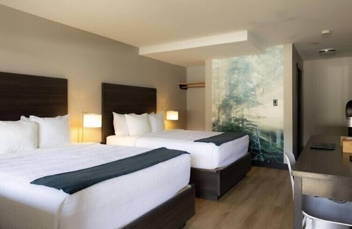 Tofino Hotel | Tofino Resort & Marina