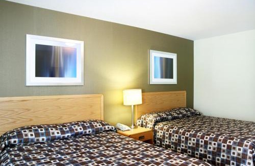 Lakeview Hotel | Toronto Lakeshore Hotel
