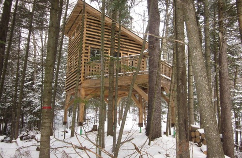 Saint-Faustin-Lac-Carre House | Treehouse with lake view | Lodging #05