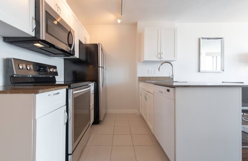 Downtown Vancouver Apartment | Trendy Downtown Two Bedroom Apartment (E4)