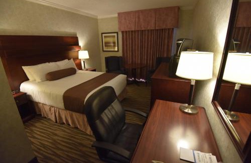 North Battleford Hotel | Tropical Inn - North Battleford