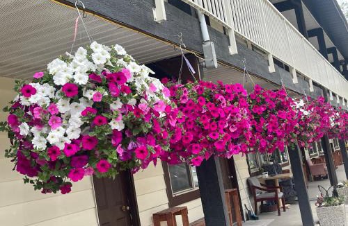 Lumby Hotel | Twin Creeks Motel