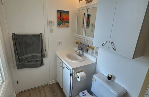 Tetreaultville Condo | Typical Montreal Appartement - Cozy 1BR Getaway