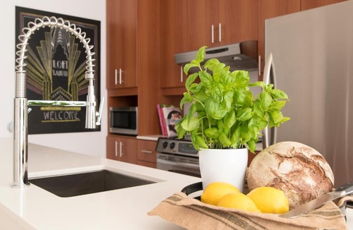 Plateau Mont Royal Apartment | Urban nest - Le Plateau - Av. Laurier Est