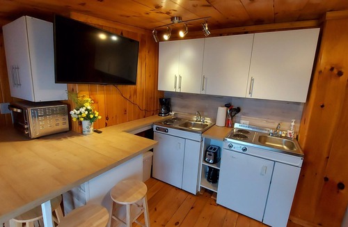 Combermere Condo | WaterFront 2 Bdrm, 2 Bath Cottage Suite with Beach, Dock, Firepit, BBQ, Deck
