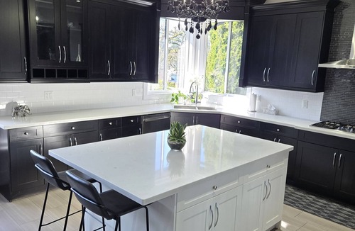 Burnaby House | Welcome to the Bold and Modern!