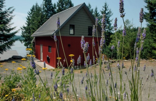 Quadra Island Cabin | Whalebone Cove Cabin with ocean dock