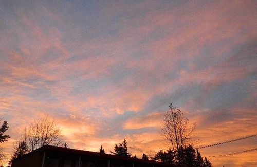 Quesnel Hotel | Willow Inn Motel