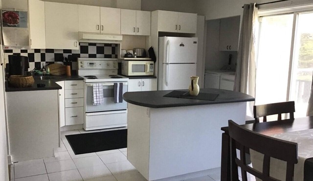 #175 Large 1 bedroom, Cozy and Bright Apartment