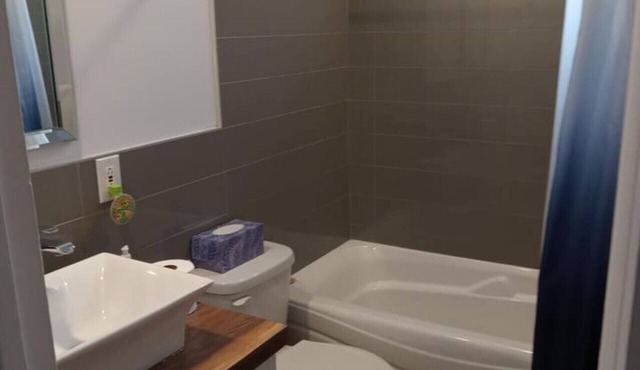 3,5 rénove avec cour anglaise