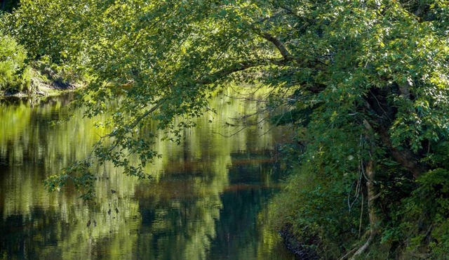 A change of scenery with complete convenience