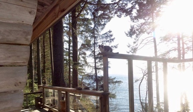 A Heritage West Coast Log Home With Private Beach