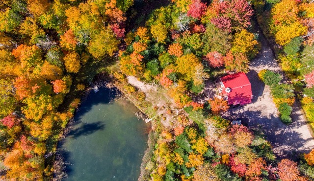 A magnificent rustic chalet, renovated up to date, where tranquility reigns.