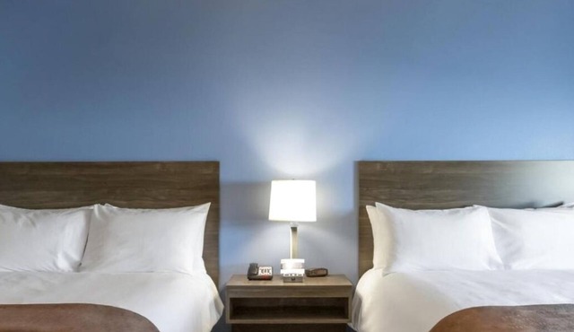 Affordable Accommodation Near Sodalis Park, Pet-Friendly Too!