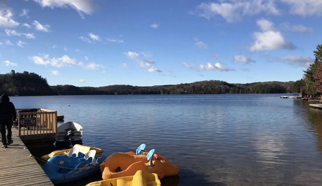 Amazing Views! The Muskokan Cottage at Blue Water Acres