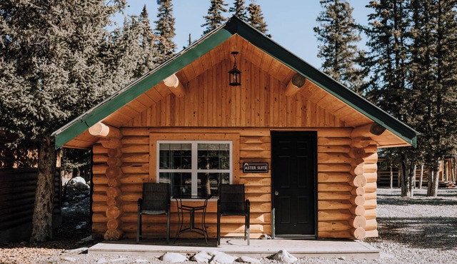 Aster Cabin: Mountain Getaway | Sleeps 5 | Kitchen
