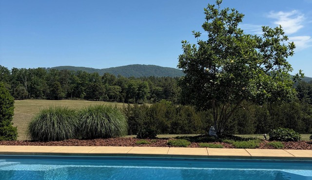 Barn Studio in country setting but close to town