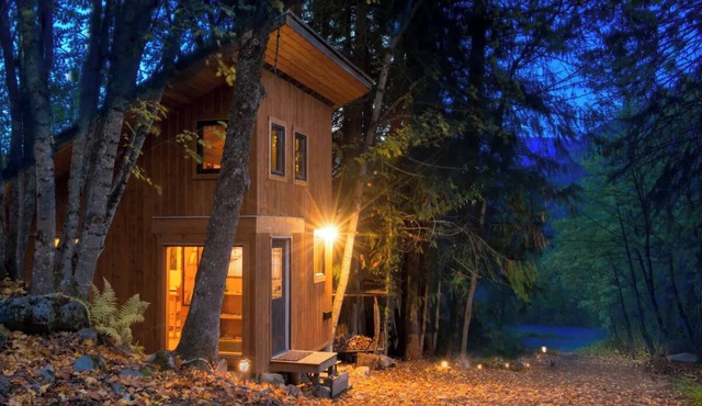 Bees Knees in the Trees Tiny Home - Hot Tub, Sauna & Cold Plunge