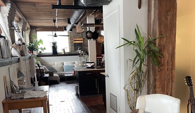 Best original hard loft in town