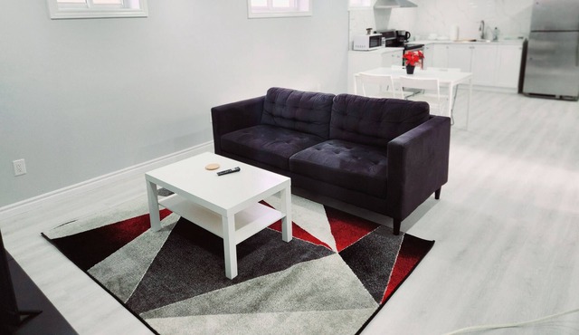 Big Newly renovated bright 2 bedroom basement apartment