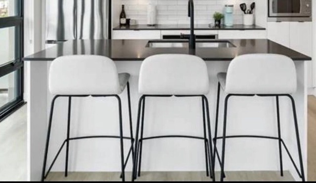 Brand New Modern Two Bedroom Two Bathroom Condo