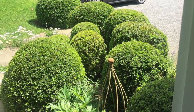 Bridgehampton South Garden Cottage
