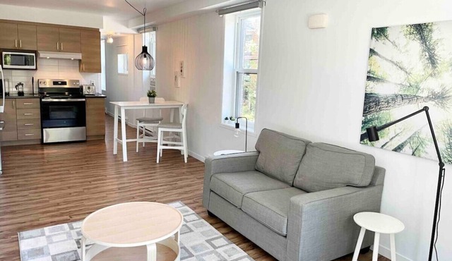 Bright apartment in Old Limoilou.