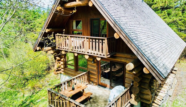 Cabane du Hibou - Wood fireplace - Mont Owl's Head