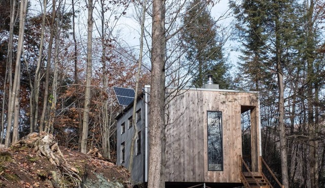 Cabin Zoobox 54 Summa