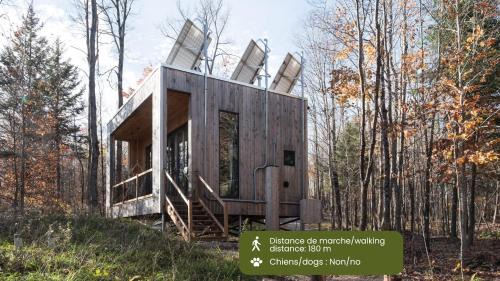 Cabin Zoobox 55