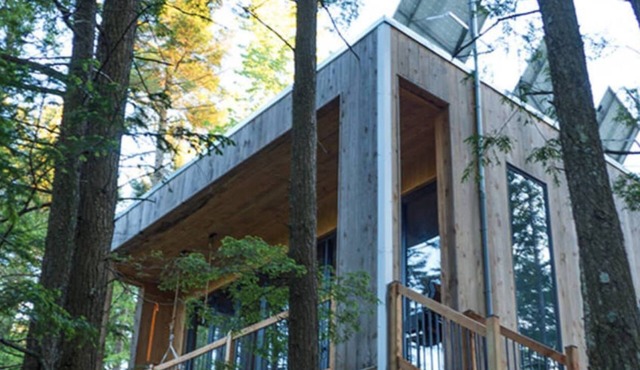 Cabin Zoobox 66 Summa