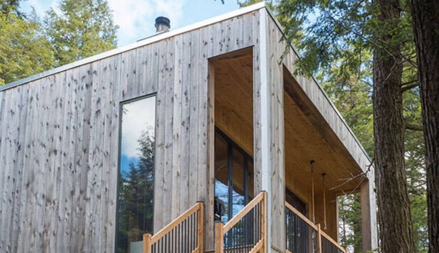 Cabin Zoobox 67 Summa