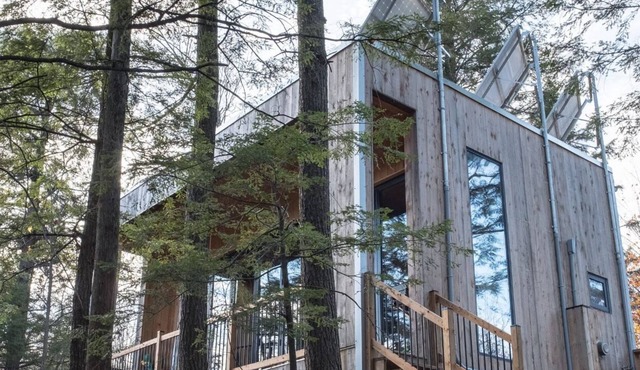 Cabin Zoobox 68 Summa