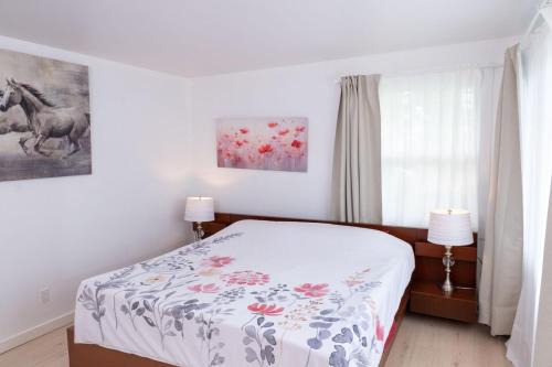 Central Cosy Appartement 3 chambres Levis Centre