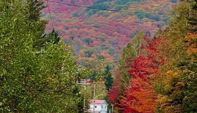 Chalet au toit vert