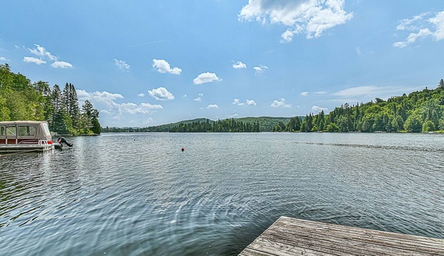 Chalet Douillet sur le Bord du Lac Navigable Papineau
