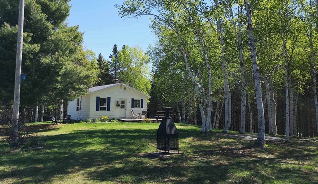 Chalet des Bouleaux