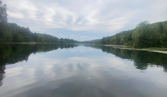 Chalet Kilkenny : Lakeside cottage - sleeps 8 with full amenities