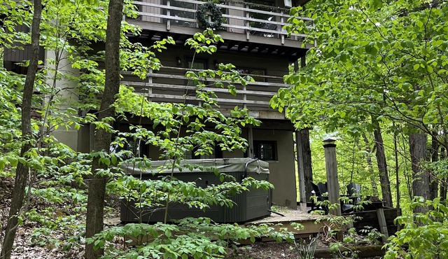 Chalet Nestled in the Trees